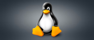 RealPlayer for Linux